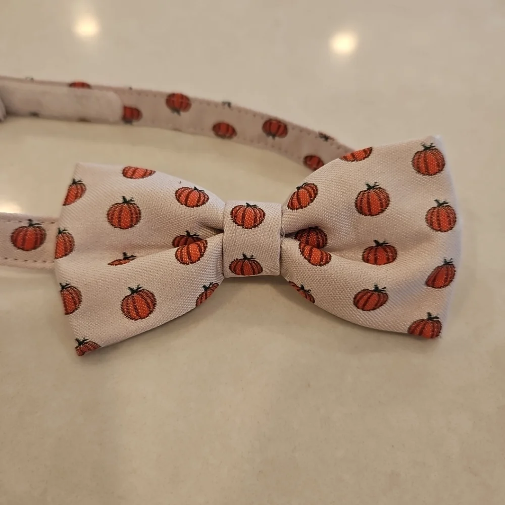 Janie & Jack Kids Bowtie Pumpkin Harvest 6 years and up New